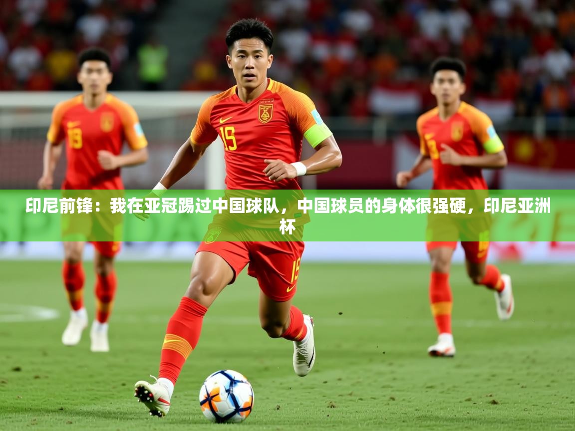 2025爱游戏体育注册网址印尼前锋:我在亚冠踢过中国球队,中国球员的身体很强硬,印尼亚洲杯 第1张