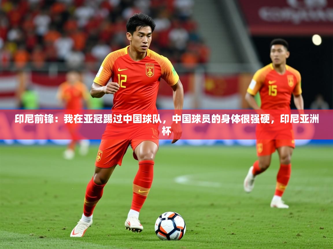 2025爱游戏体育注册网址印尼前锋:我在亚冠踢过中国球队,中国球员的身体很强硬,印尼亚洲杯 第2张