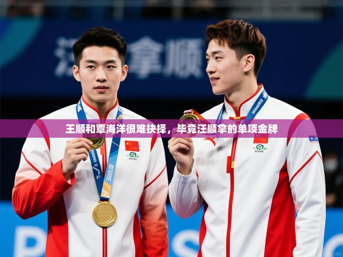 2025爱游戏体育注册首页王顺和覃海洋很难抉择,毕竟汪顺拿的单项金牌 第3张