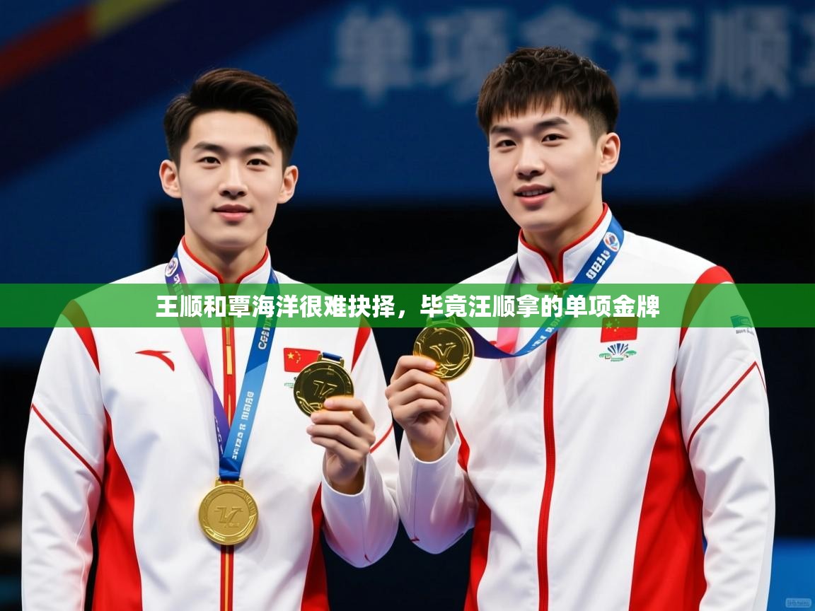 2025爱游戏体育注册首页王顺和覃海洋很难抉择,毕竟汪顺拿的单项金牌 第4张