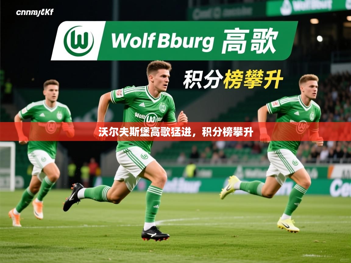 2026爱游戏体育注册网址沃尔夫斯堡高歌猛进,积分榜攀升 第4张