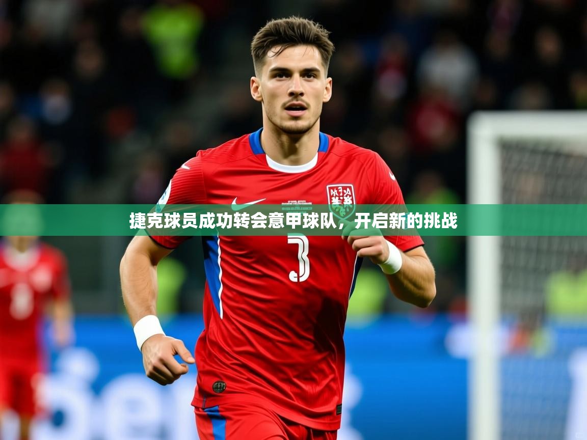 2026爱游戏体育在线平台下载捷克球员成功转会意甲球队，开启新的挑战  第3张