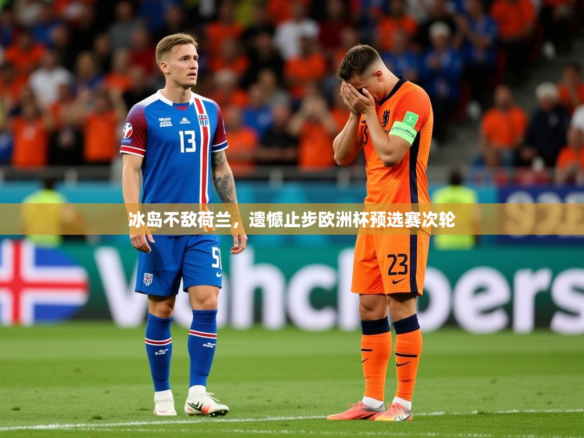 2026爱游戏体育app登录入口官网冰岛不敌荷兰,遗憾止步欧洲杯预选赛次轮 第4张