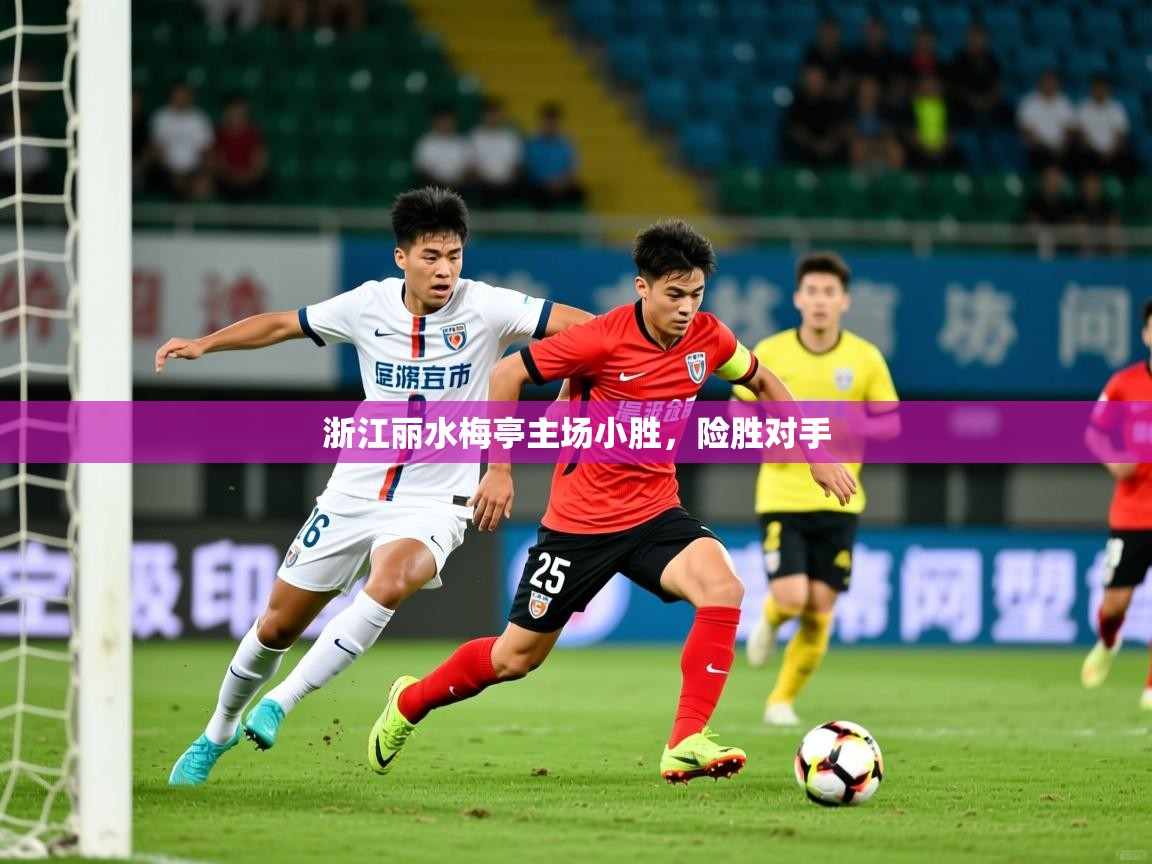 2026爱游戏体育注册平台浙江丽水梅亭主场小胜,险胜对手 第1张