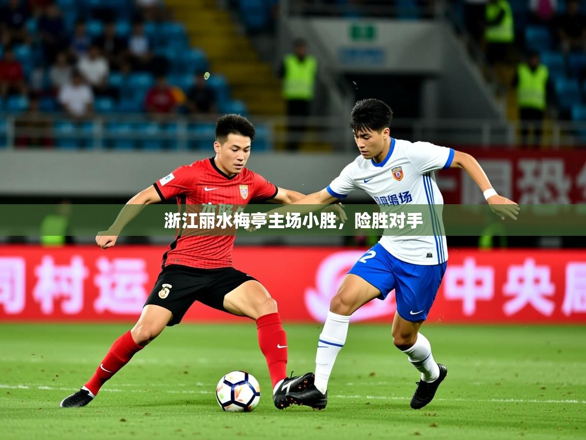 2026爱游戏体育注册平台浙江丽水梅亭主场小胜,险胜对手 第3张