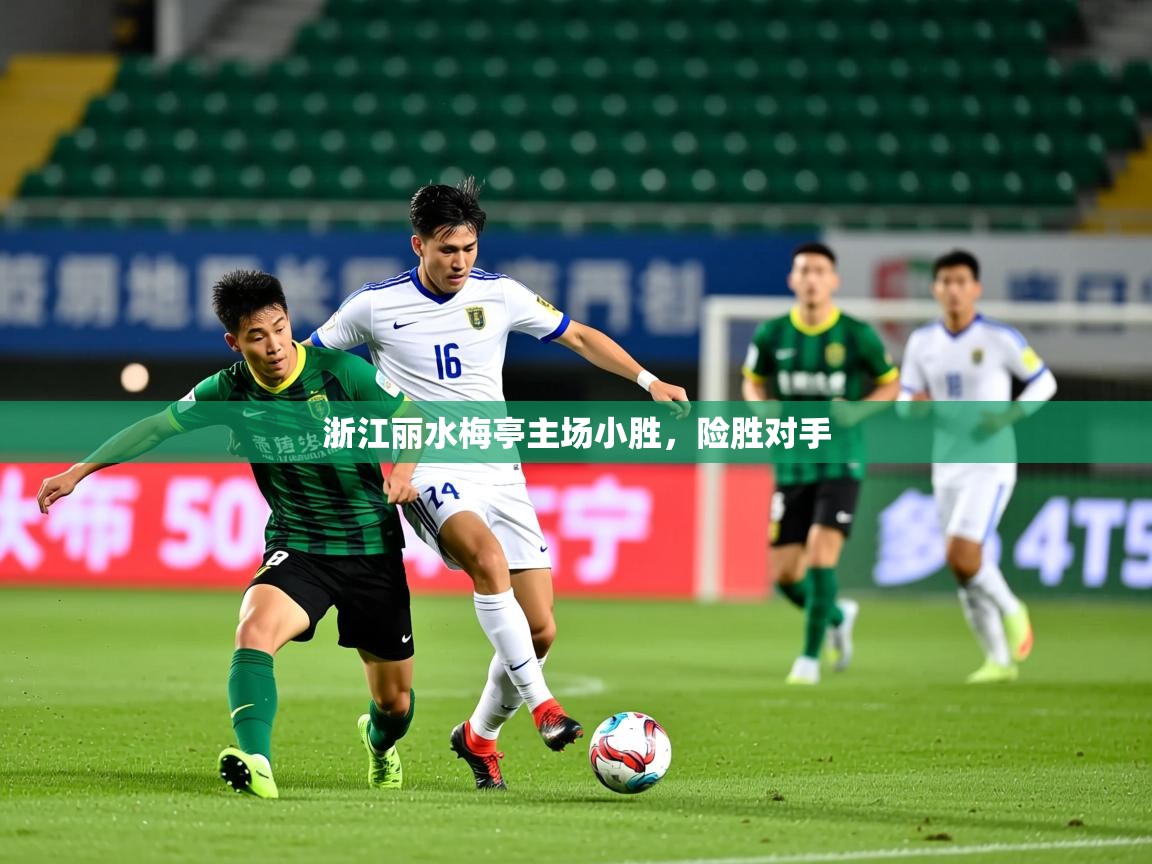 2026爱游戏体育注册平台浙江丽水梅亭主场小胜,险胜对手 第4张