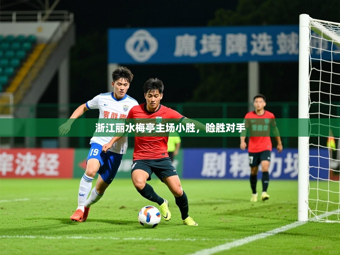 2026爱游戏体育注册平台浙江丽水梅亭主场小胜,险胜对手 第2张