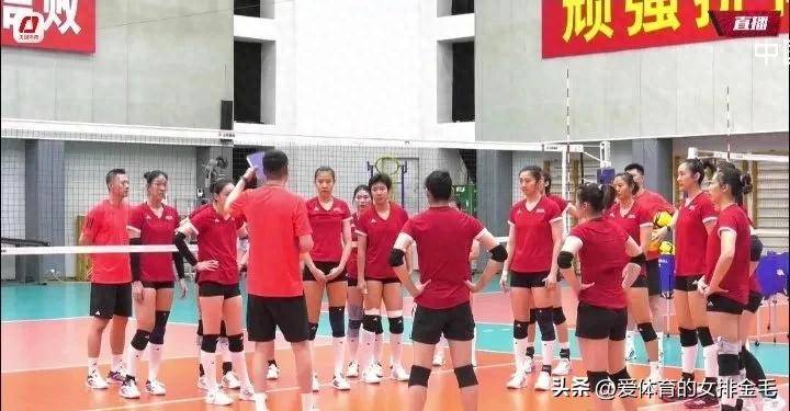女排赛场上演精彩对抗，强队势在必得的简单介绍
